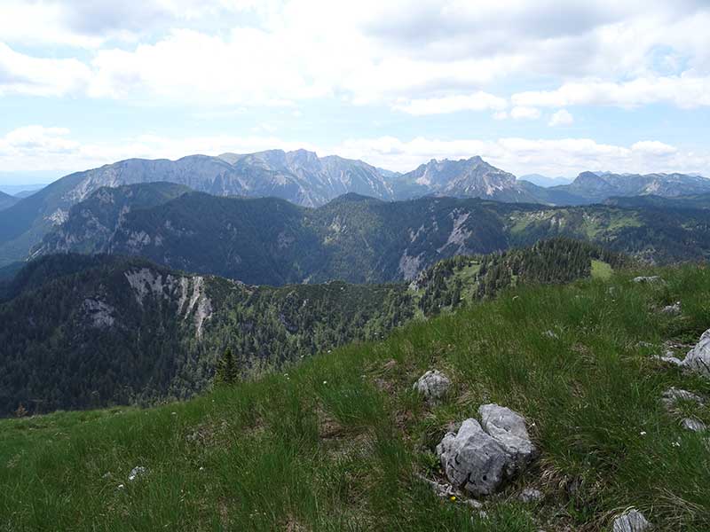 Buchbergkogel